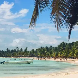 Plage tropicale, illustration d’excursion insulaire