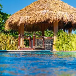 Piscine et paillote tropicale, illustration de beach club